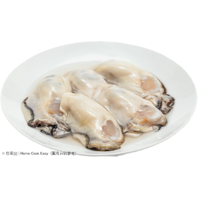 美國桶蠔 5-6隻/桶 