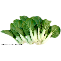 新鮮白菜仔 300克