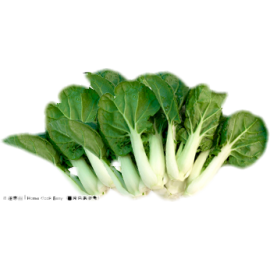新鮮白菜仔 300克