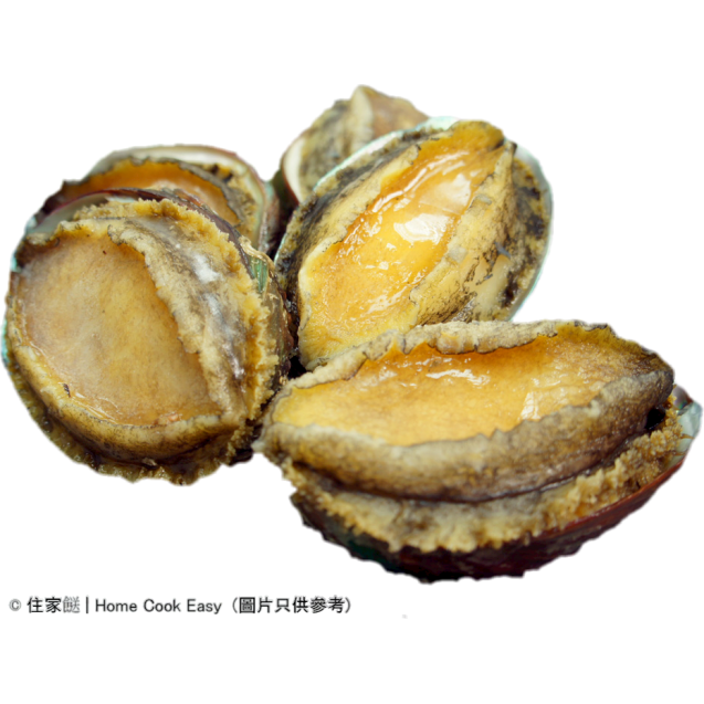大蓮鮮鮑魚 8-10頭