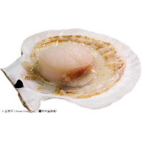 新鮮大扇貝 3隻
